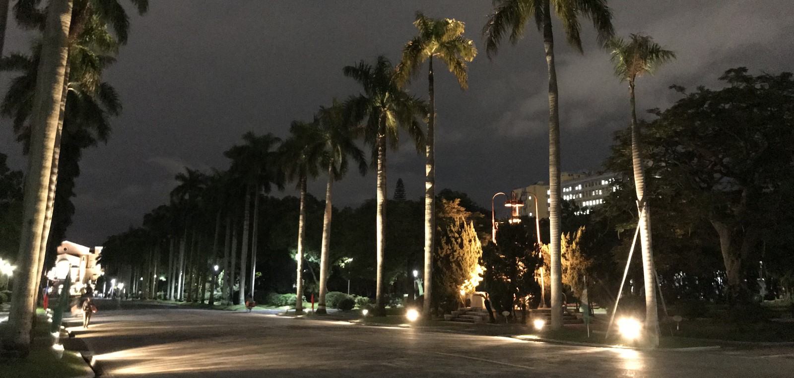 2016年11月，椰林大道傅鐘周邊增加投射矮燈。